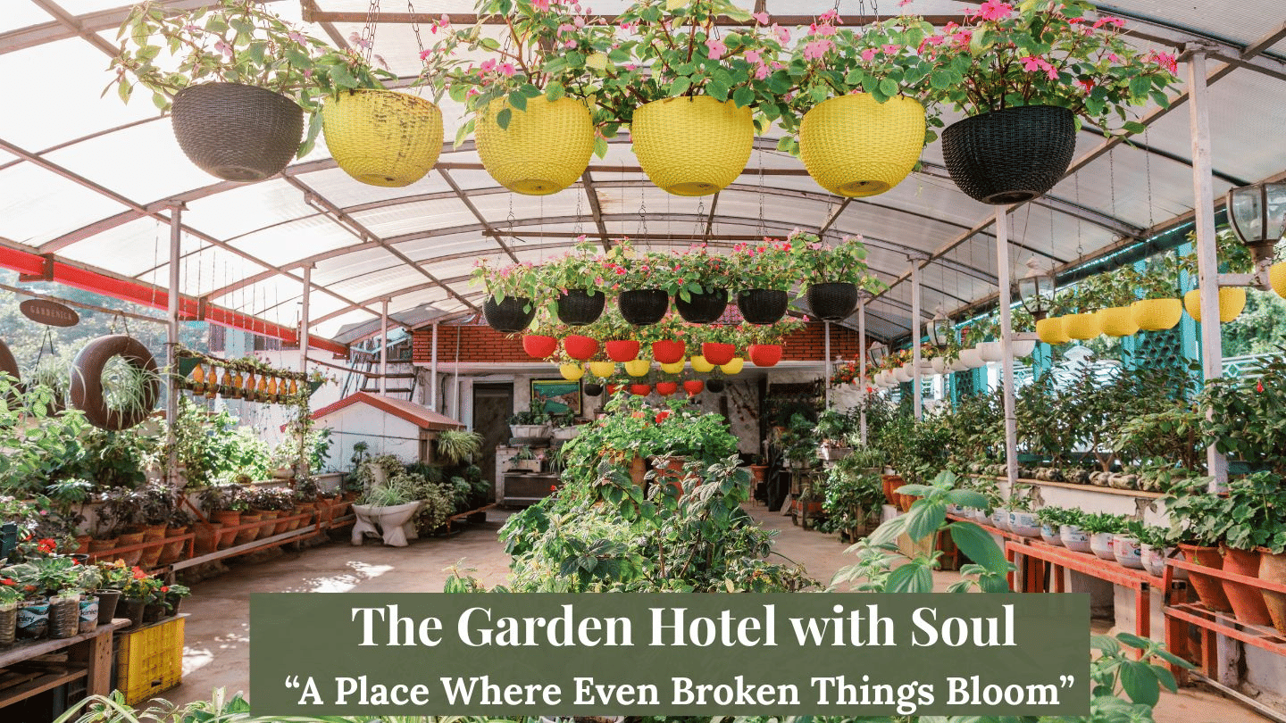 Gardenica in bloom